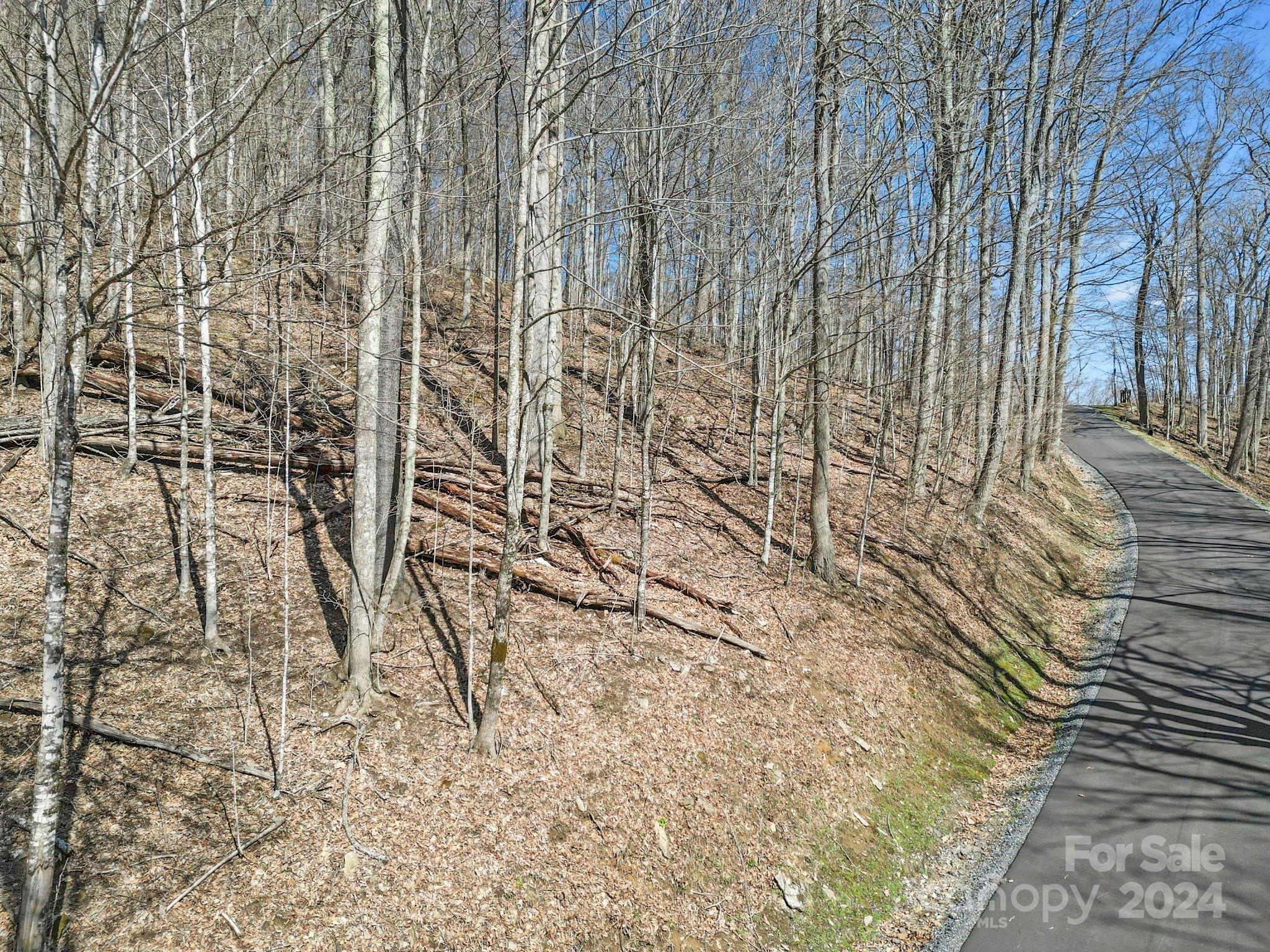 10 Chestnut Village Lane Mars Hill NC 28754
