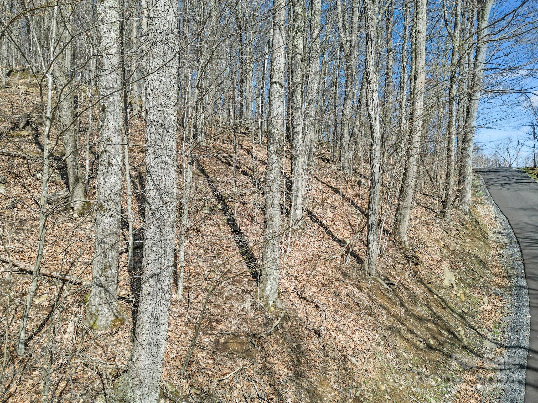 10 Chestnut Village Lane Mars Hill NC 28754