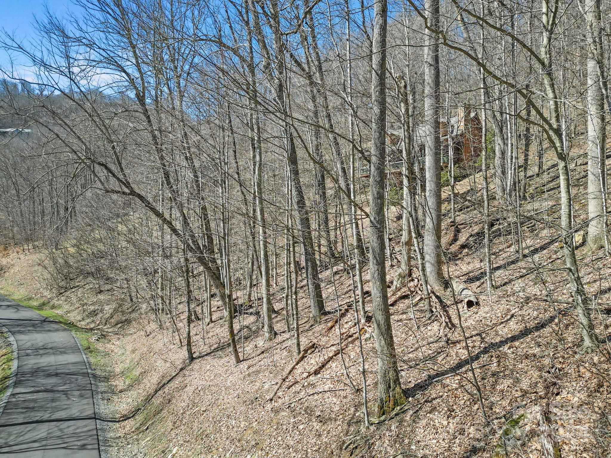 10 Chestnut Village Lane Mars Hill NC 28754