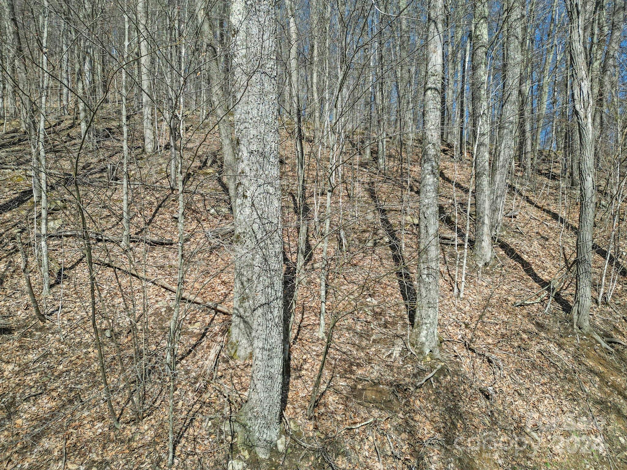 10 Chestnut Village Lane Mars Hill NC 28754