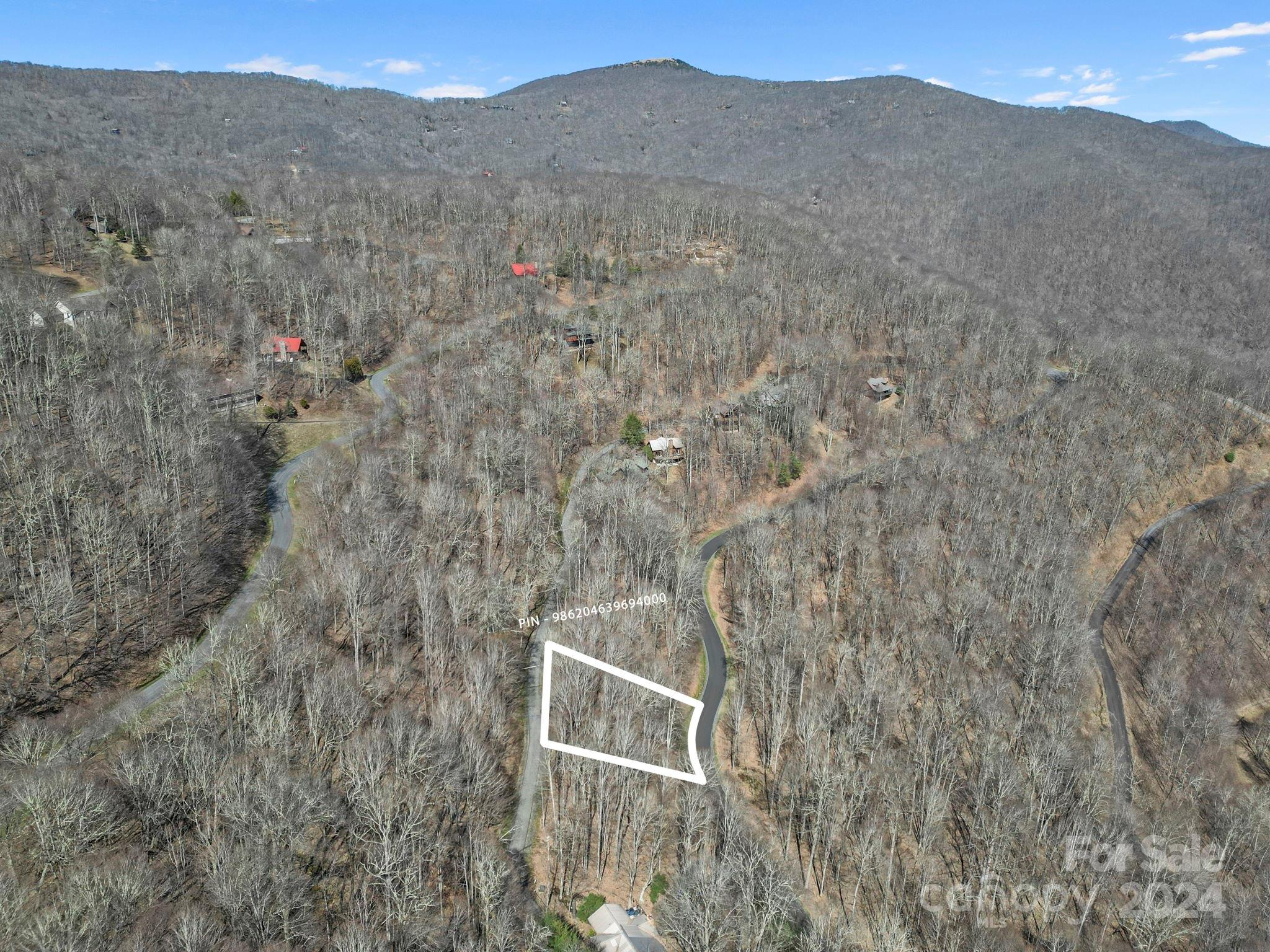 10 Chestnut Village Lane Mars Hill NC 28754