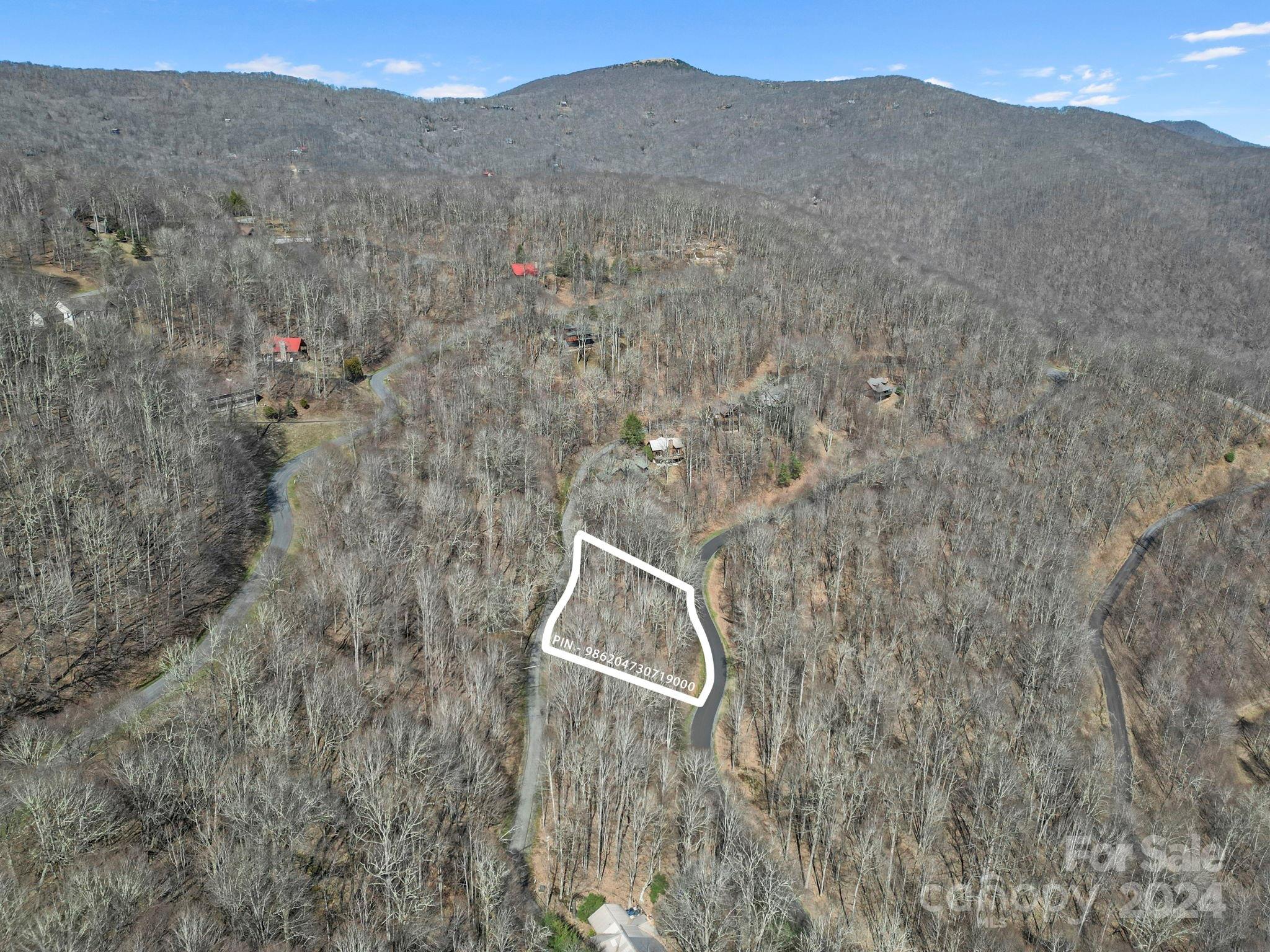 10 Chestnut Village Lane Mars Hill NC 28754