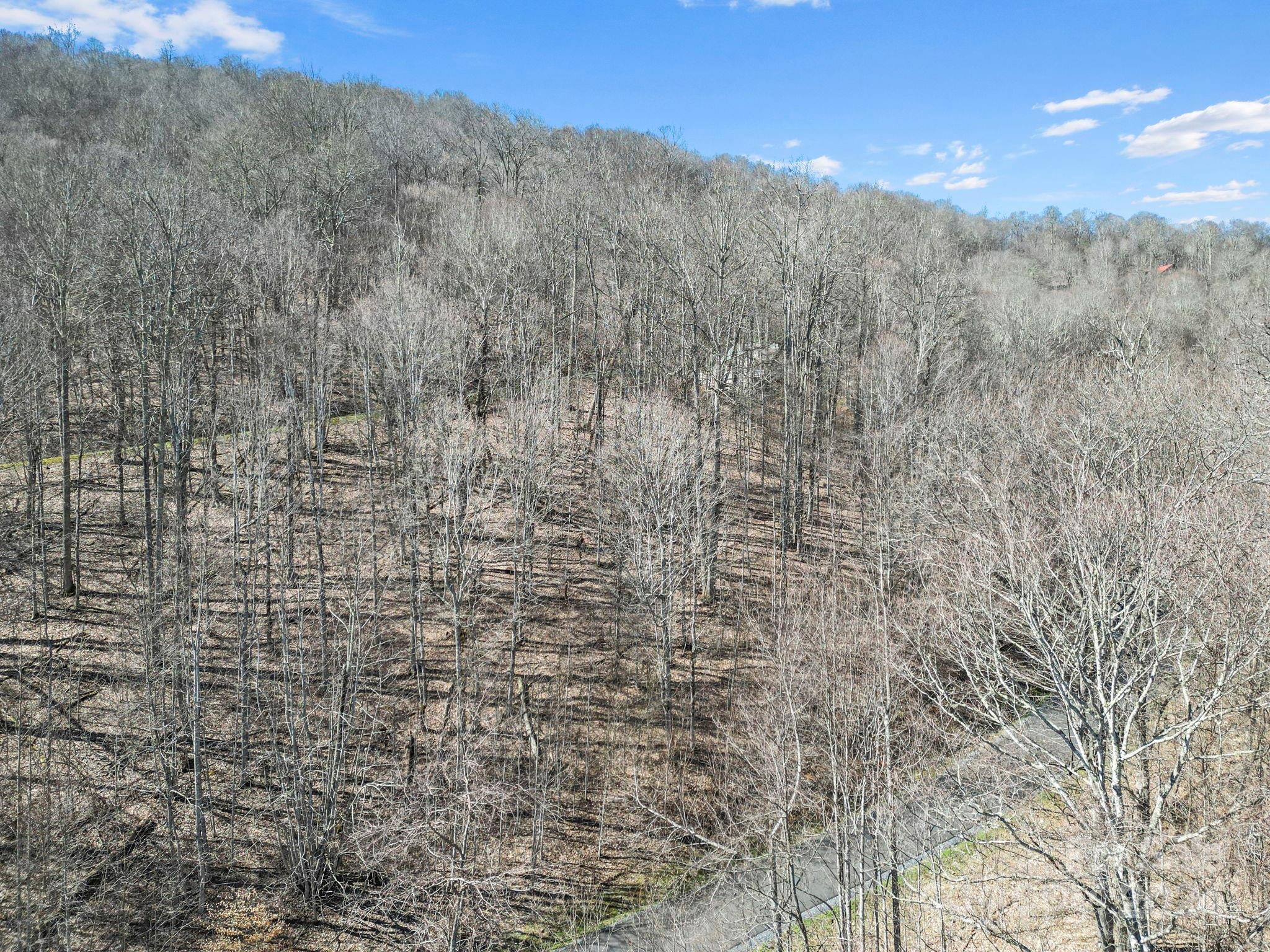10 Chestnut Village Lane Mars Hill NC 28754
