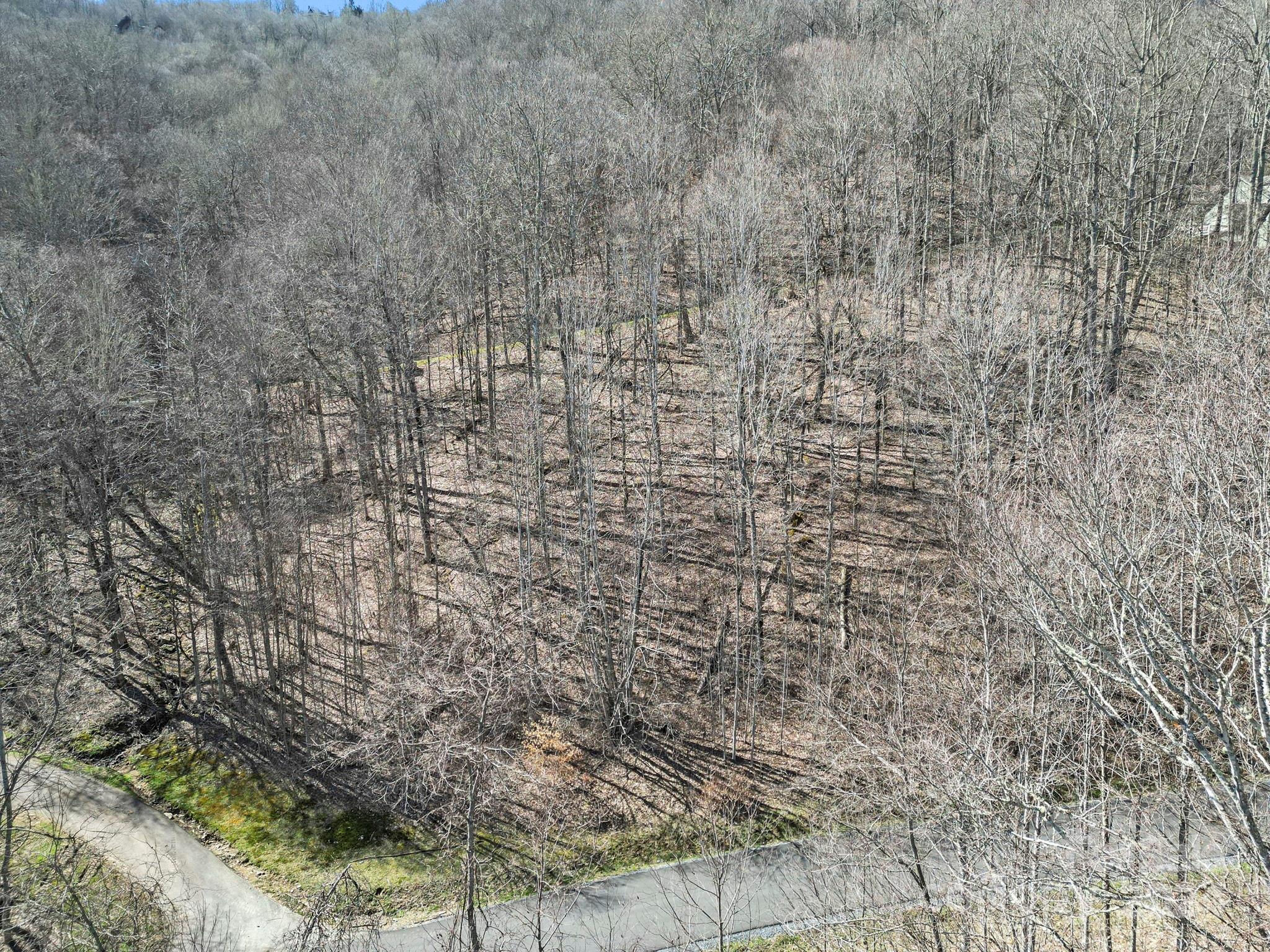 10 Chestnut Village Lane Mars Hill NC 28754