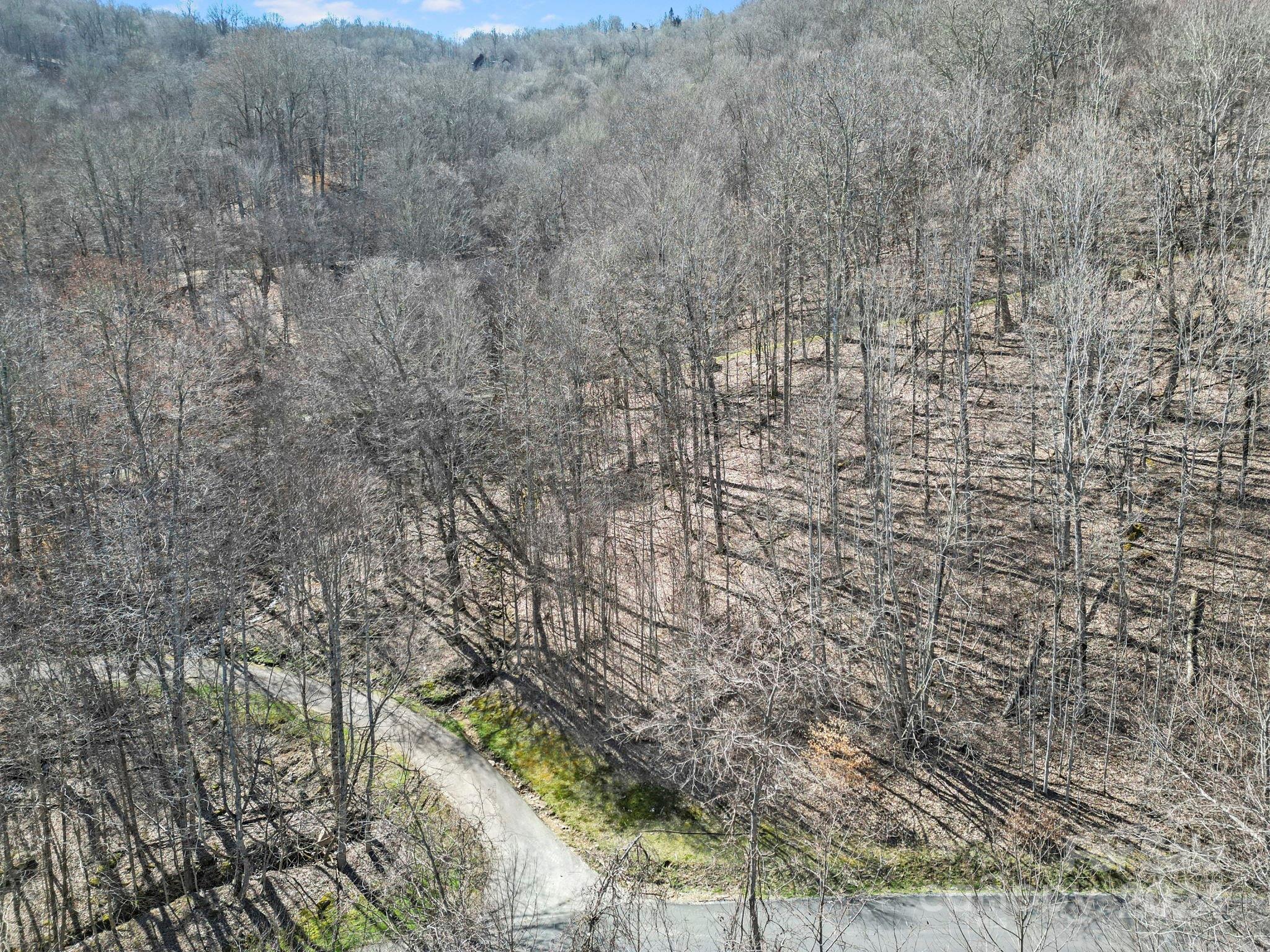10 Chestnut Village Lane Mars Hill NC 28754