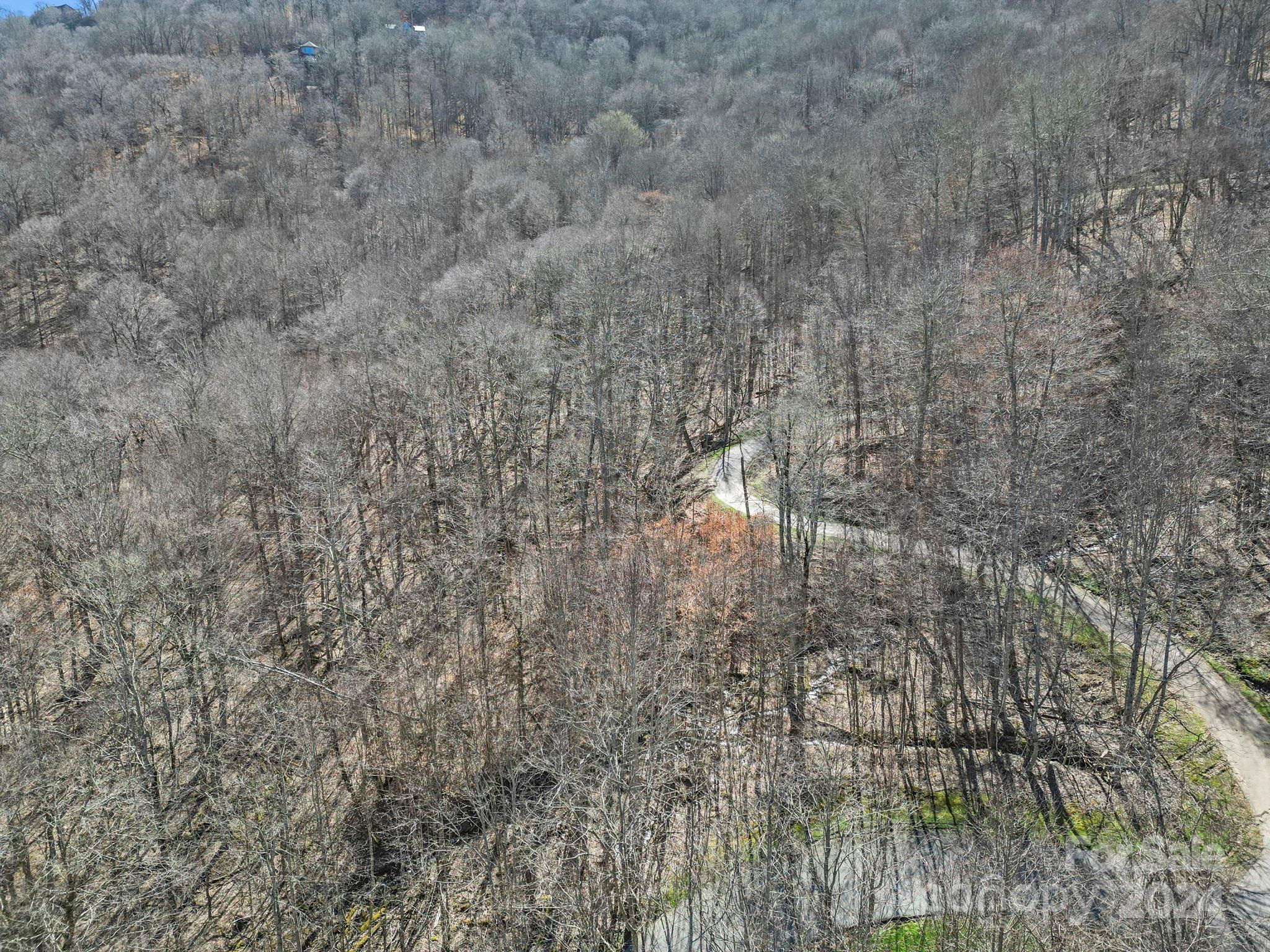 10 Chestnut Village Lane Mars Hill NC 28754