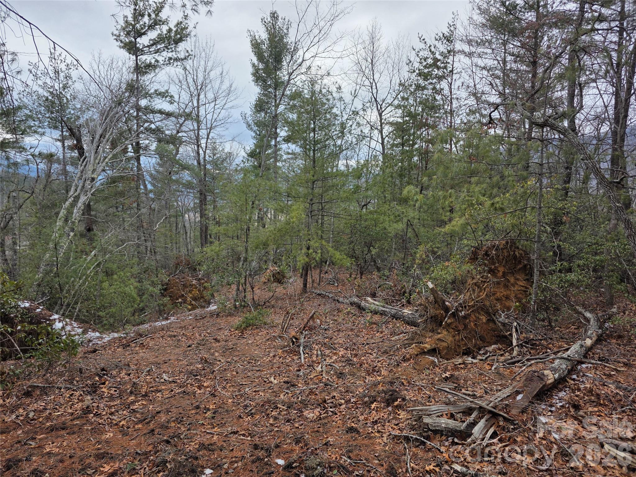 Lot 24a-28a Quail Drive Marion NC 28752