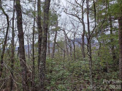 Lot 24a-28a Quail Drive Marion NC 28752