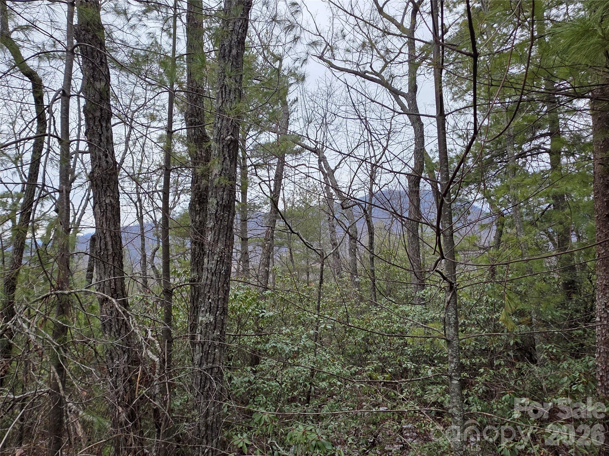 Lot 24a-28a Quail Drive Marion NC 28752