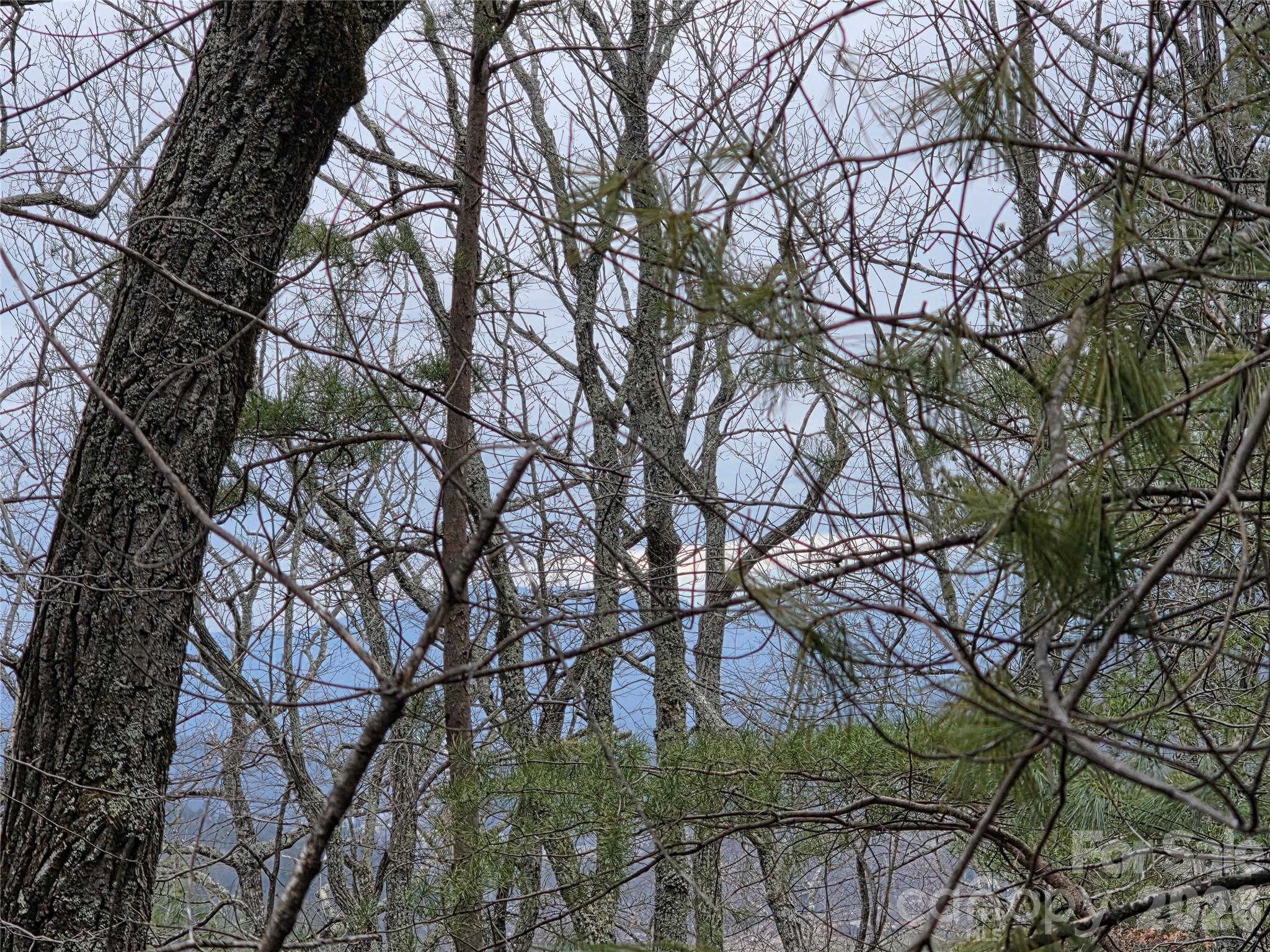 Lot 24a-28a Quail Drive Marion NC 28752