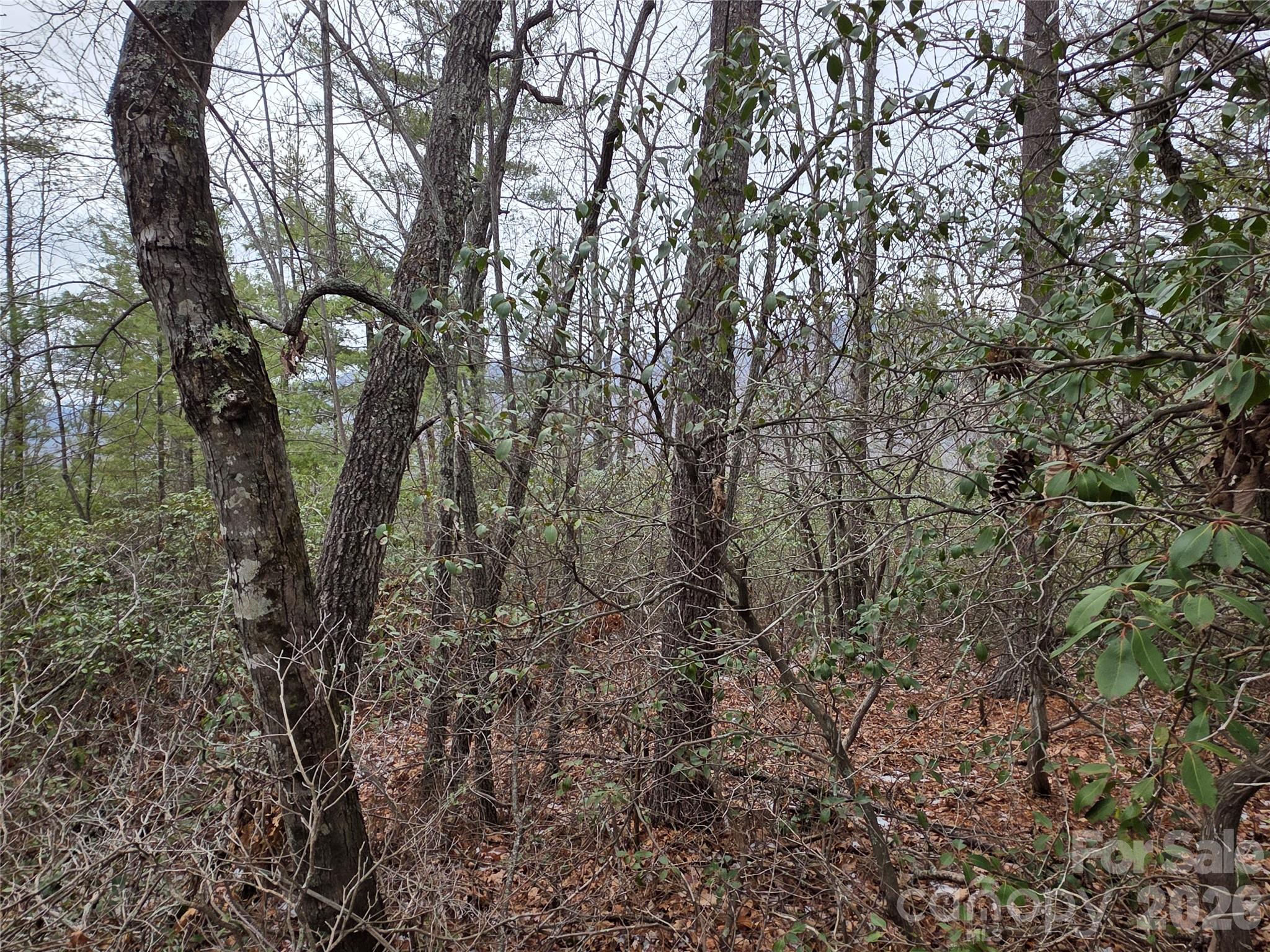 Lot 24a-28a Quail Drive Marion NC 28752
