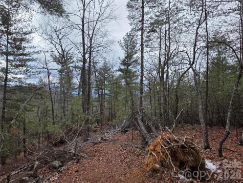 Lot 24a-28a Quail Drive Marion NC 28752