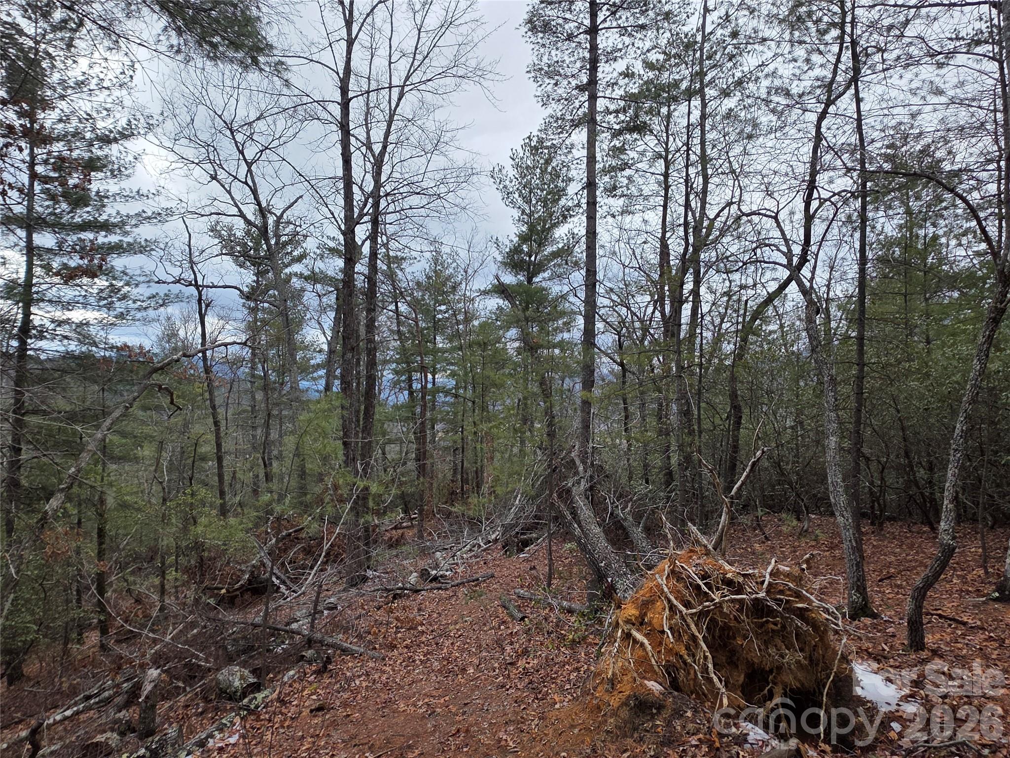 Lot 24a-28a Quail Drive Marion NC 28752