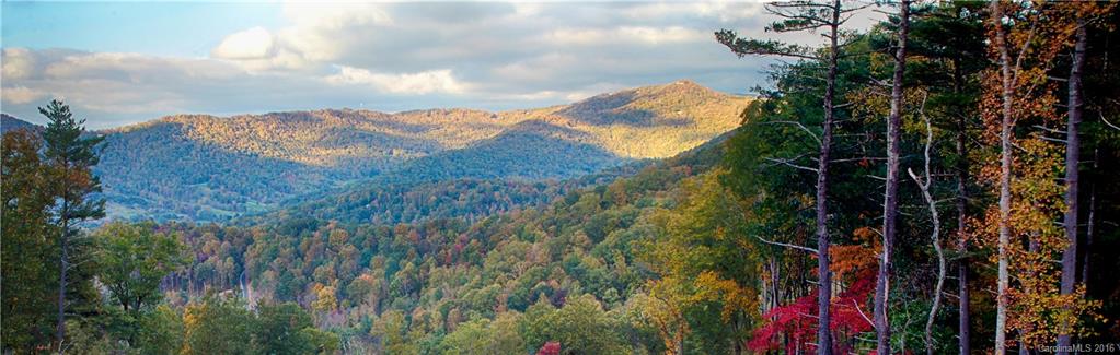 15 Woodland Aster Way Asheville NC 28804