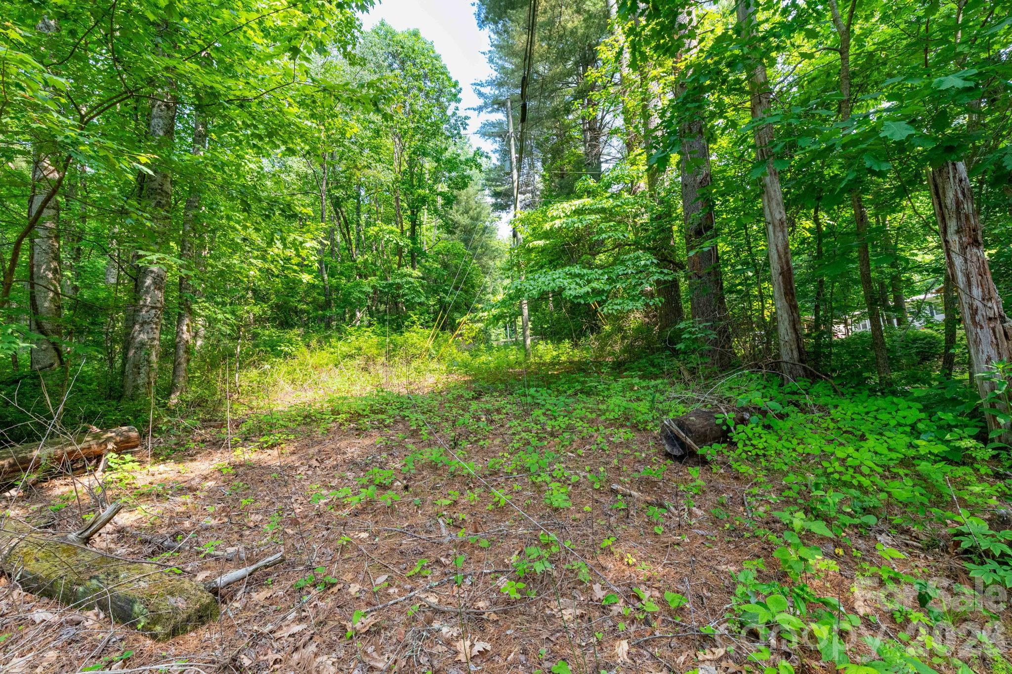 Tbd Woodfin Road Sylva NC 28779