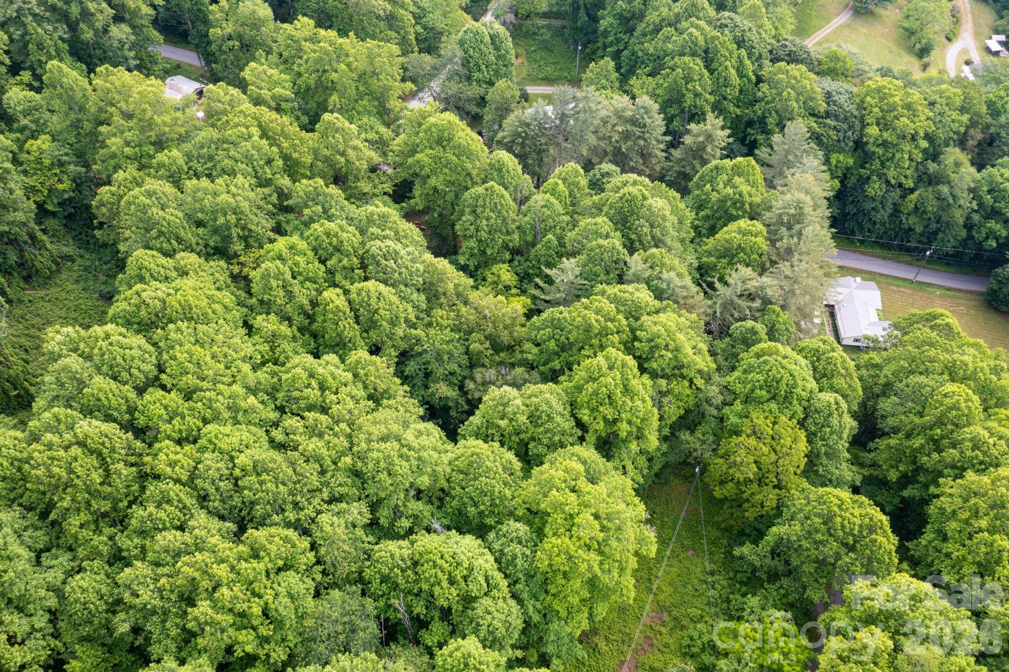 Tbd Woodfin Road Sylva NC 28779