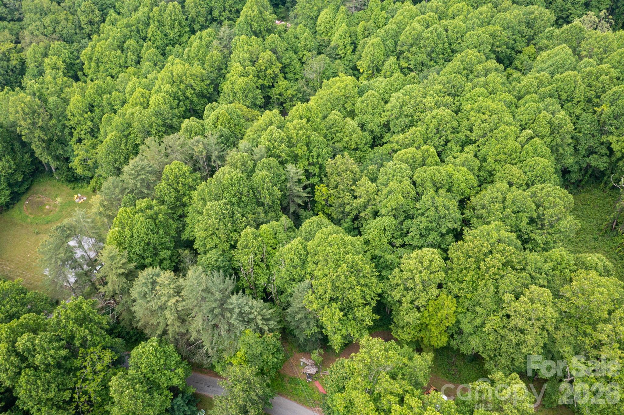 Tbd Woodfin Road Sylva NC 28779
