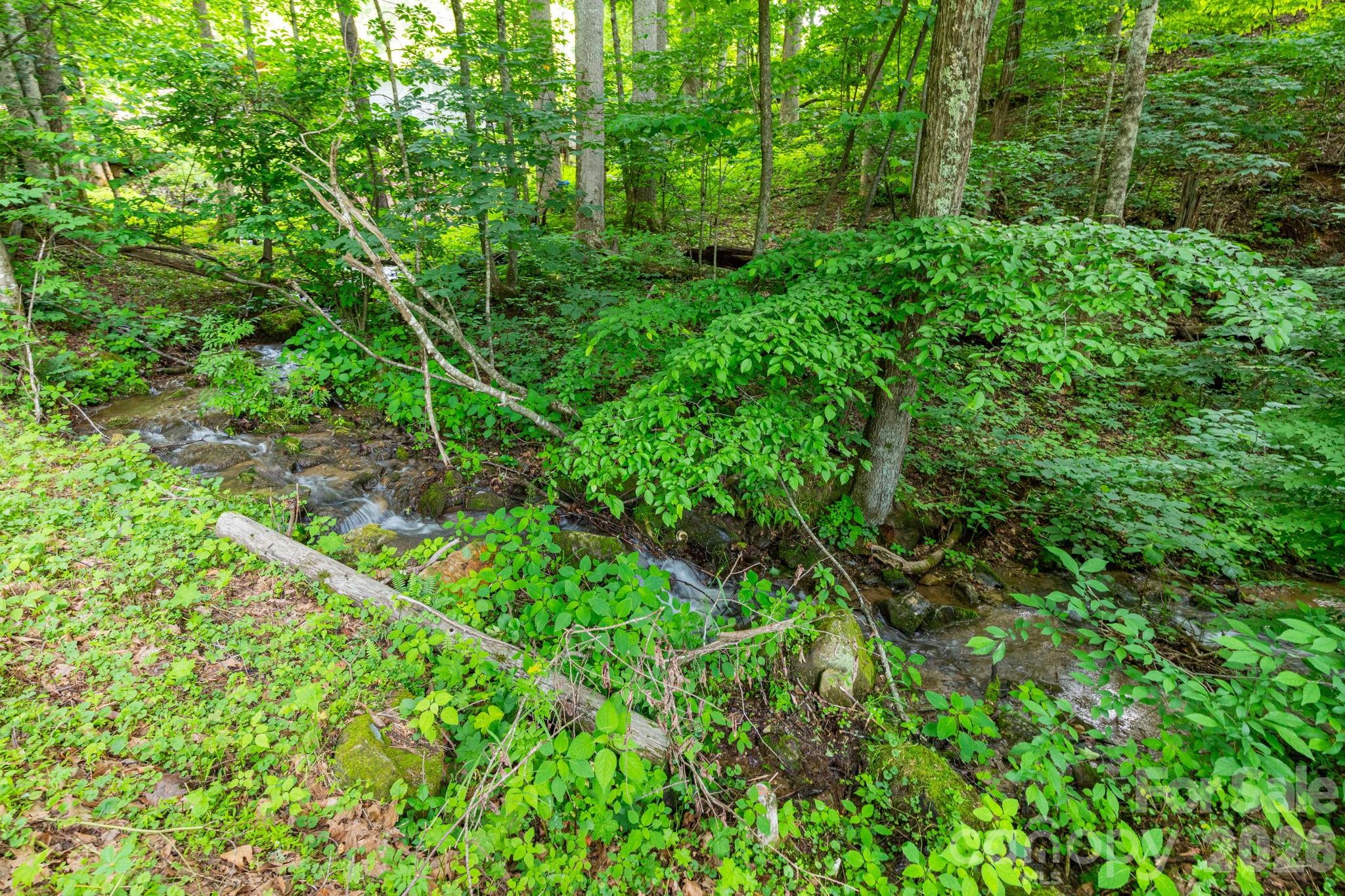 Tbd Woodfin Road Sylva NC 28779