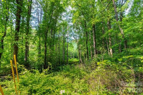 Tbd Woodfin Road Sylva NC 28779