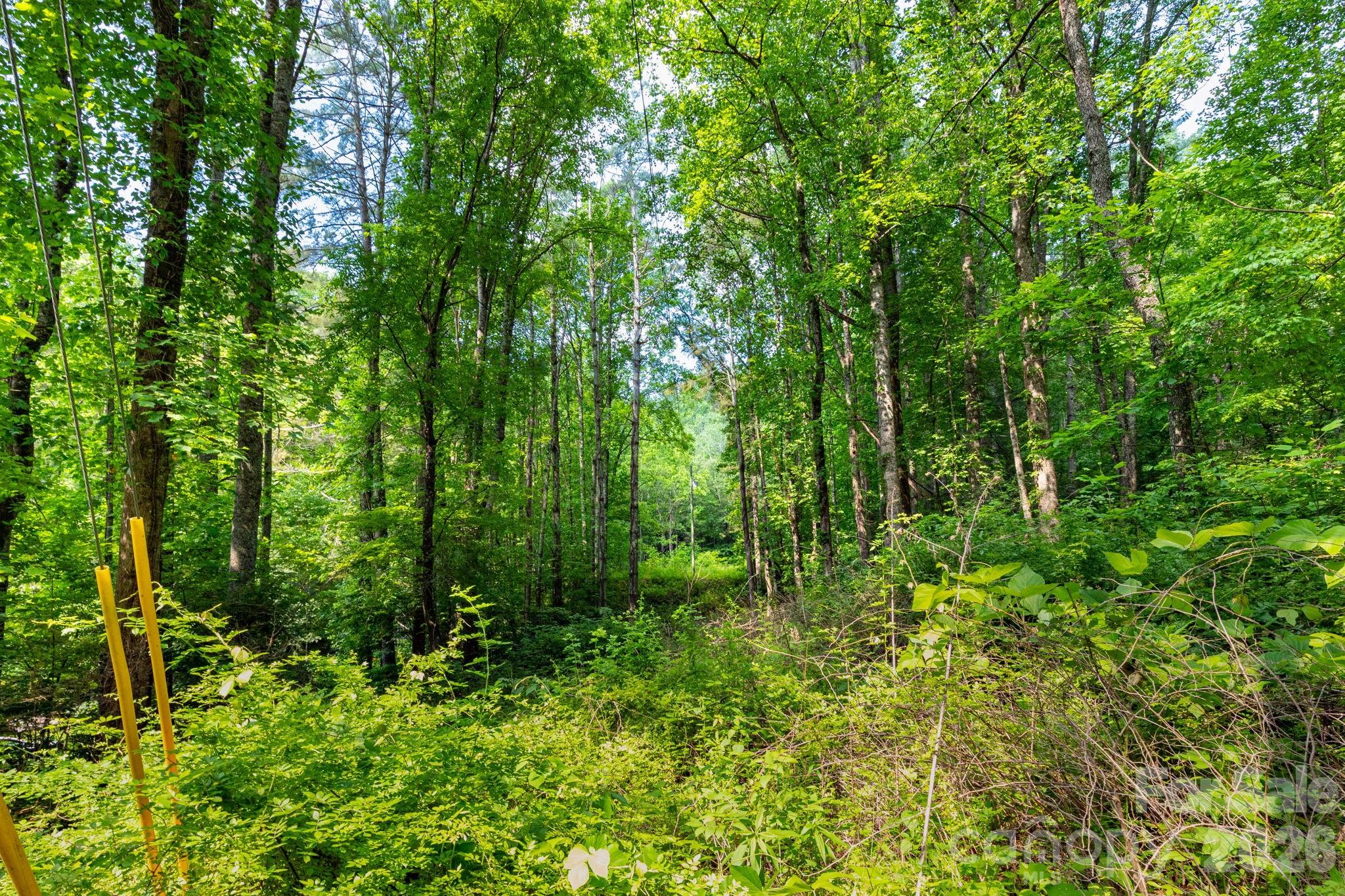 Tbd Woodfin Road Sylva NC 28779