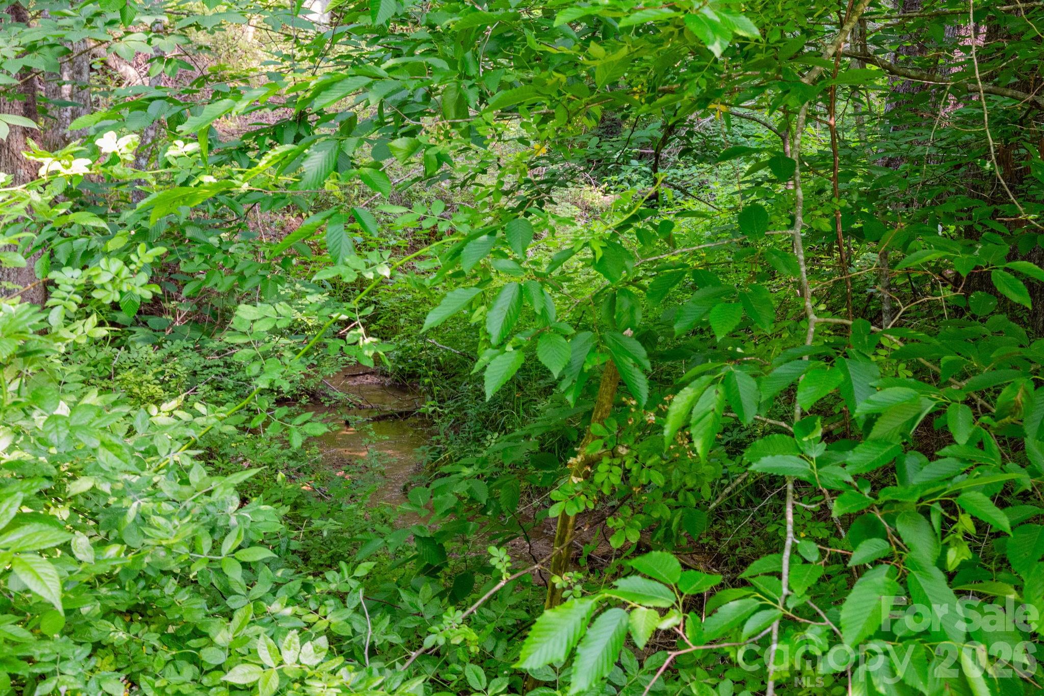 Tbd Woodfin Road Sylva NC 28779