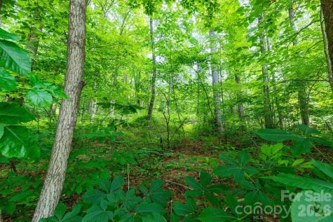 Tbd Woodfin Road Sylva NC 28779
