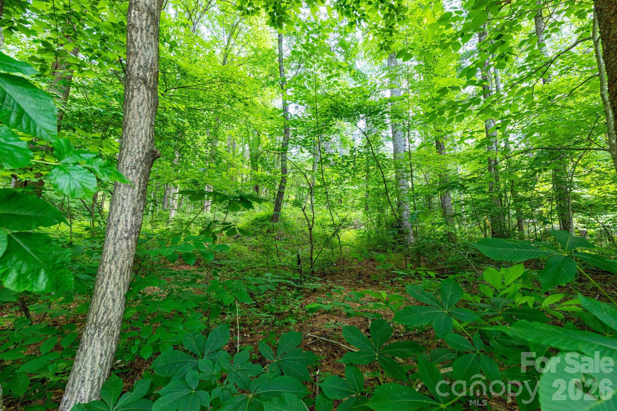 Tbd Woodfin Road Sylva NC 28779