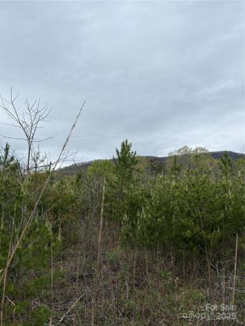 0 Rose Hollow Drive Mill Spring NC 28756