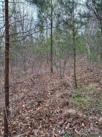 0 Rose Hollow Drive Mill Spring NC 28756