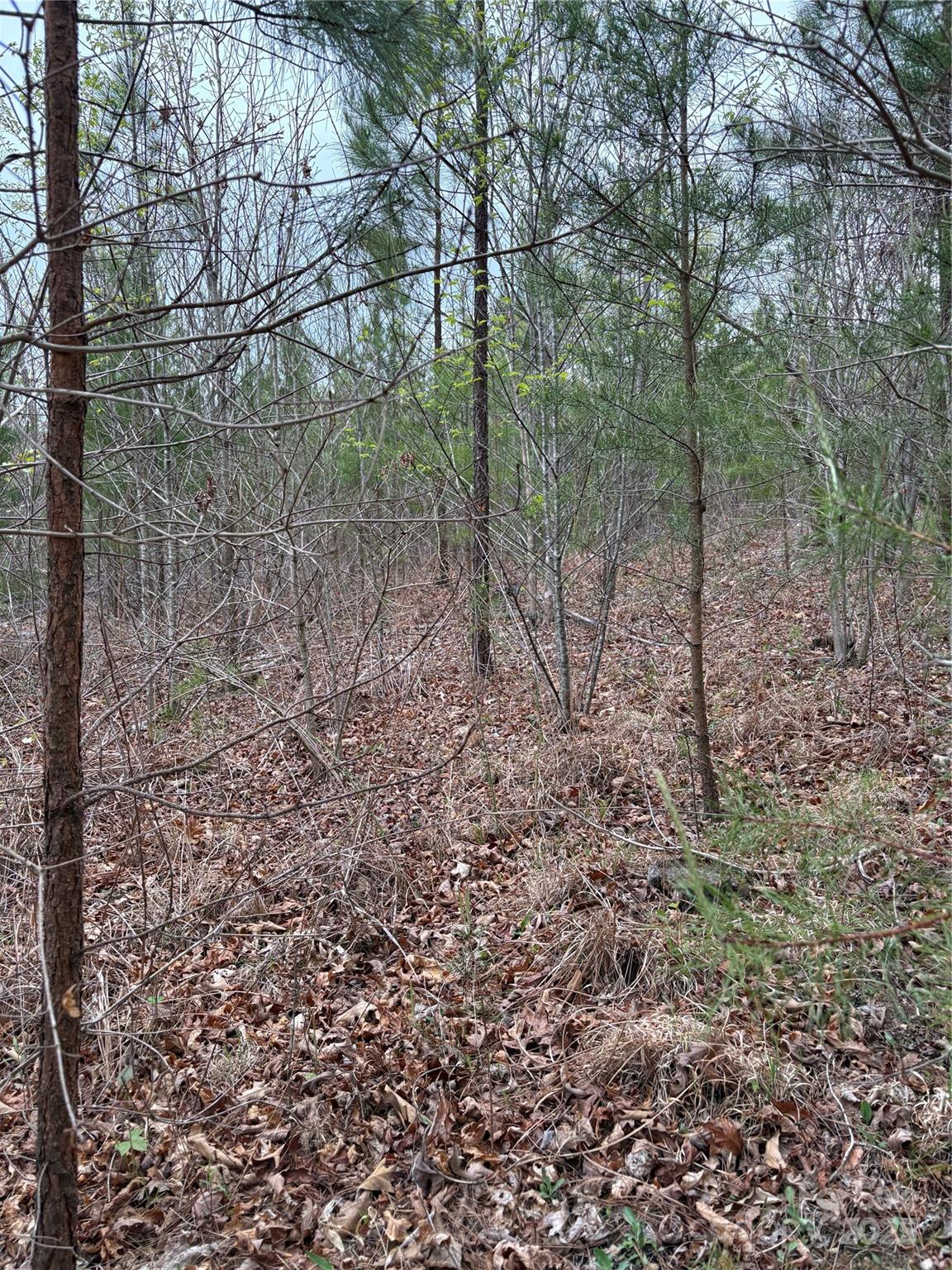 0 Rose Hollow Drive Mill Spring NC 28756