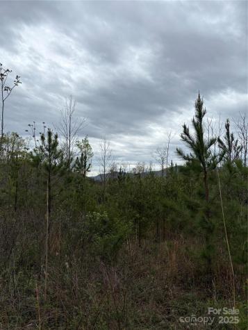 0 Rose Hollow Drive Mill Spring NC 28756