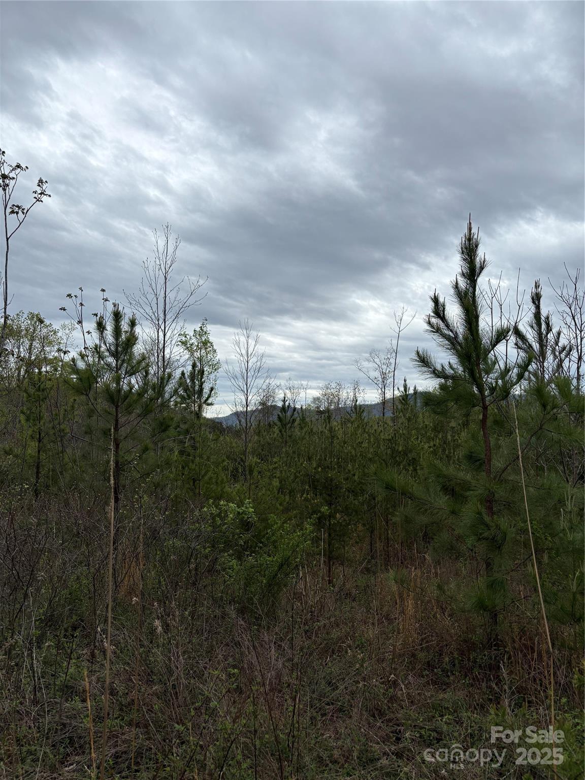 0 Rose Hollow Drive Mill Spring NC 28756