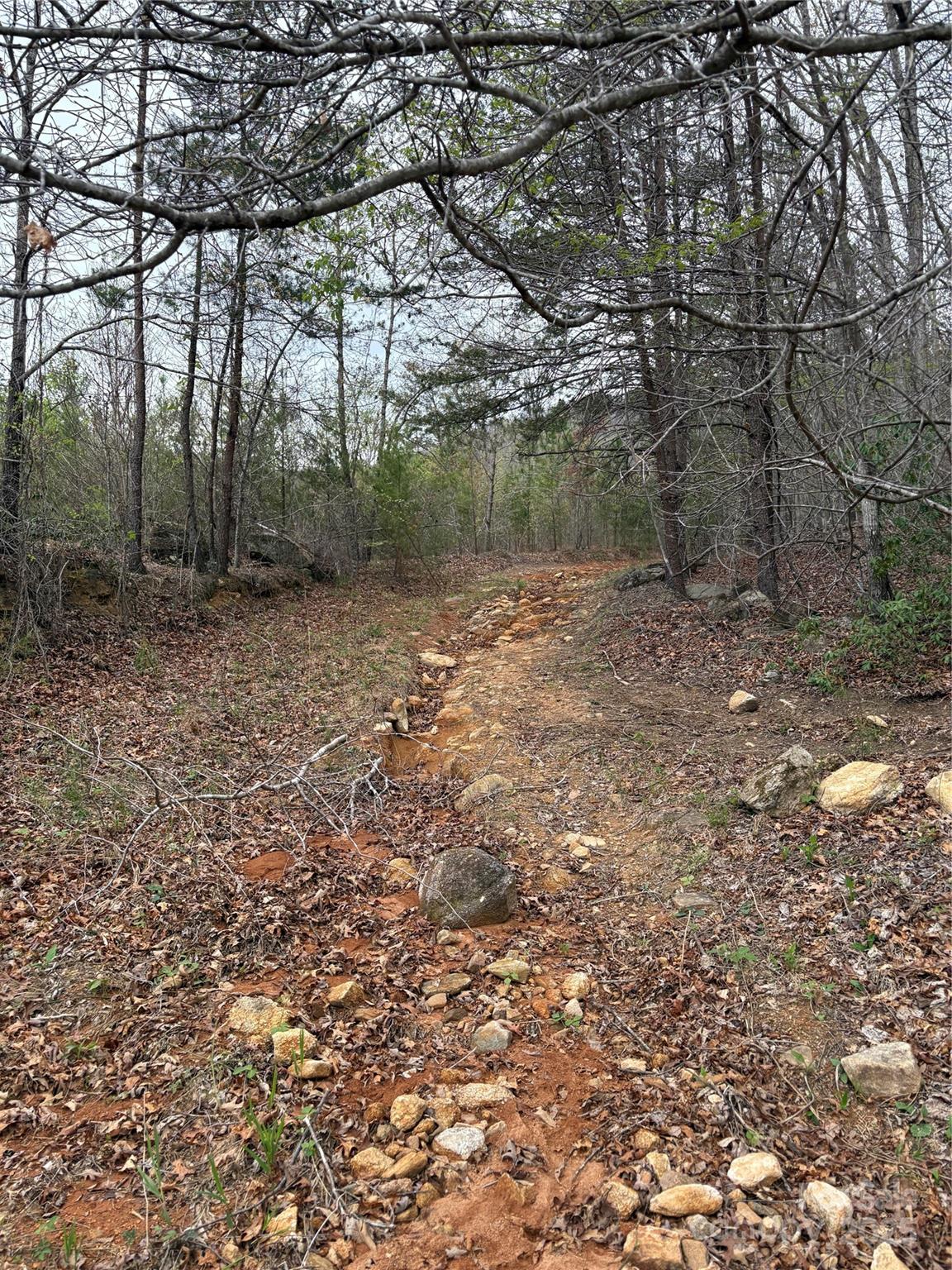 0 Rose Hollow Drive Mill Spring NC 28756
