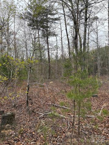 0 Rose Hollow Drive Mill Spring NC 28756