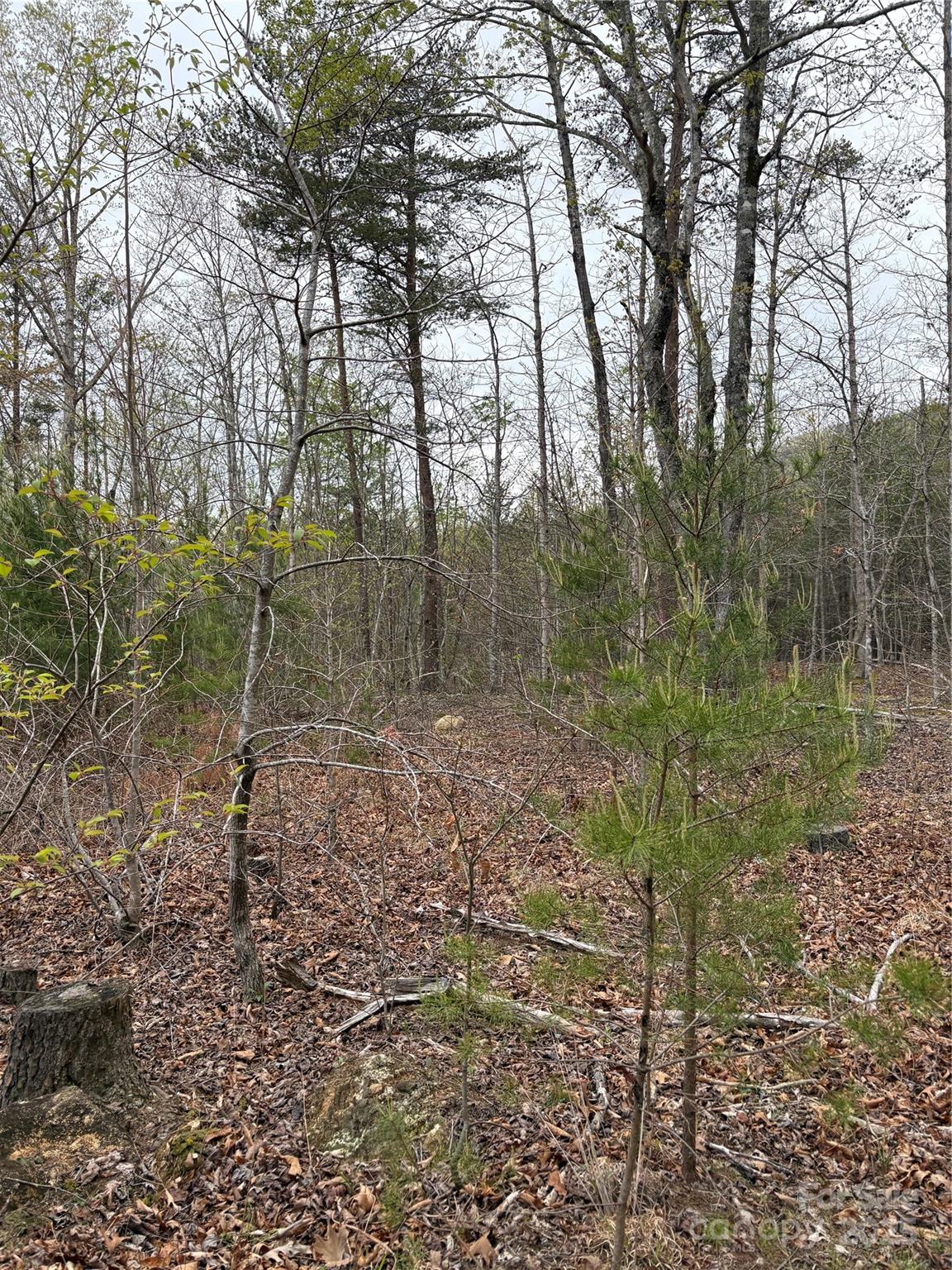 0 Rose Hollow Drive Mill Spring NC 28756