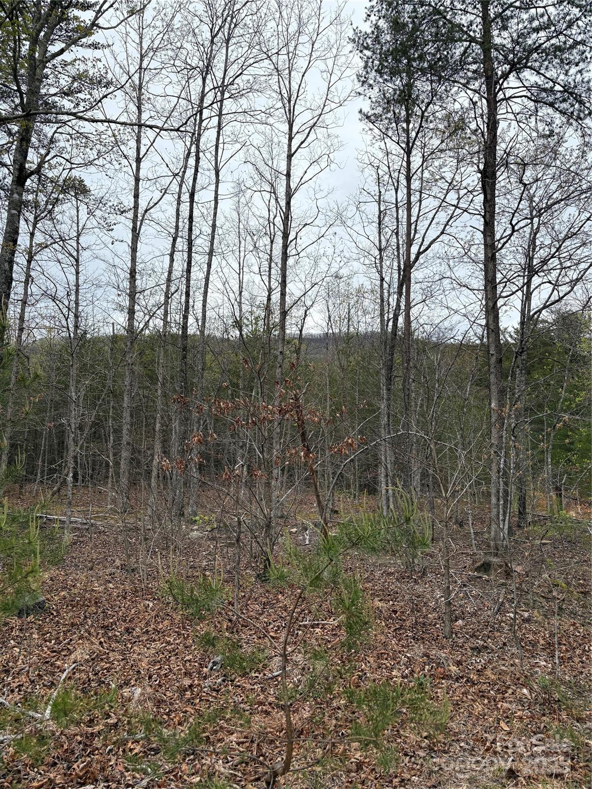 0 Rose Hollow Drive Mill Spring NC 28756