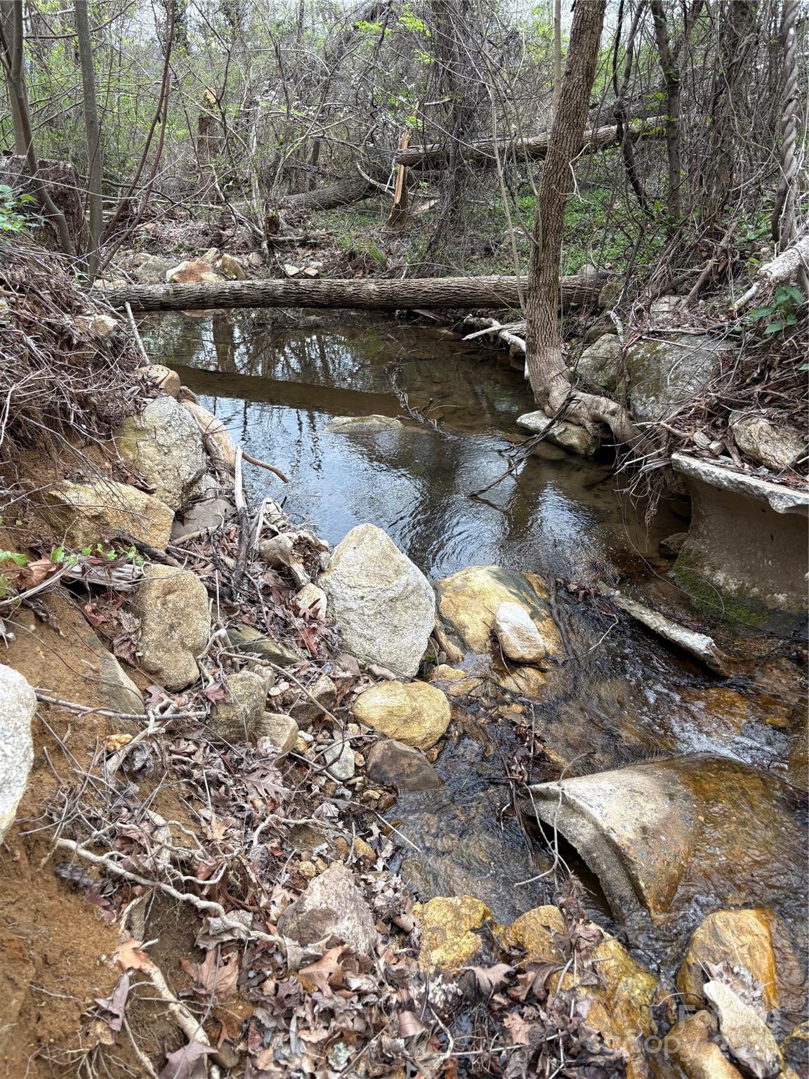 0 Rose Hollow Drive Mill Spring NC 28756