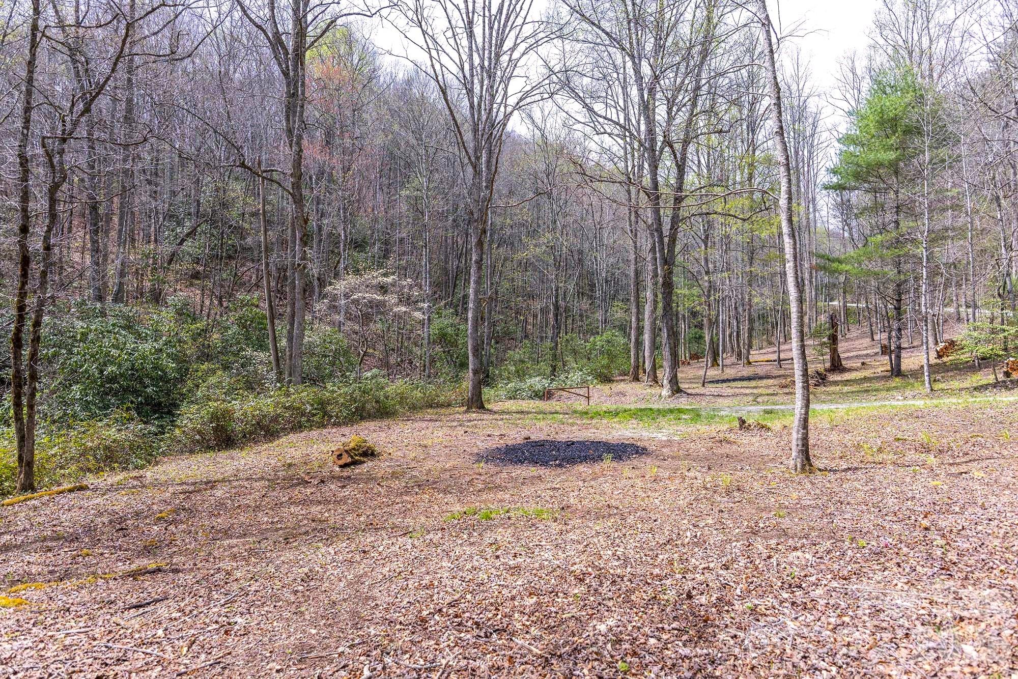 0 Diamond Creek Road Rosman NC 28772
