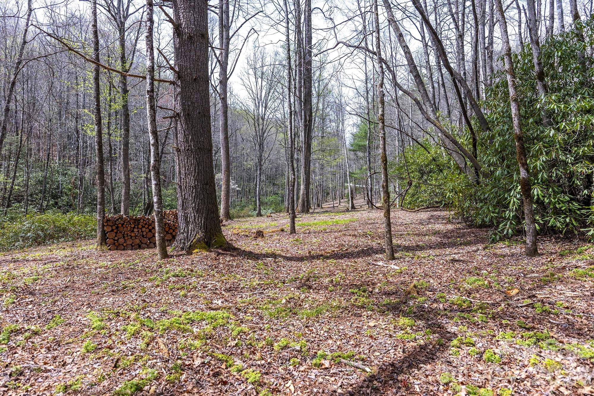 0 Diamond Creek Road Rosman NC 28772