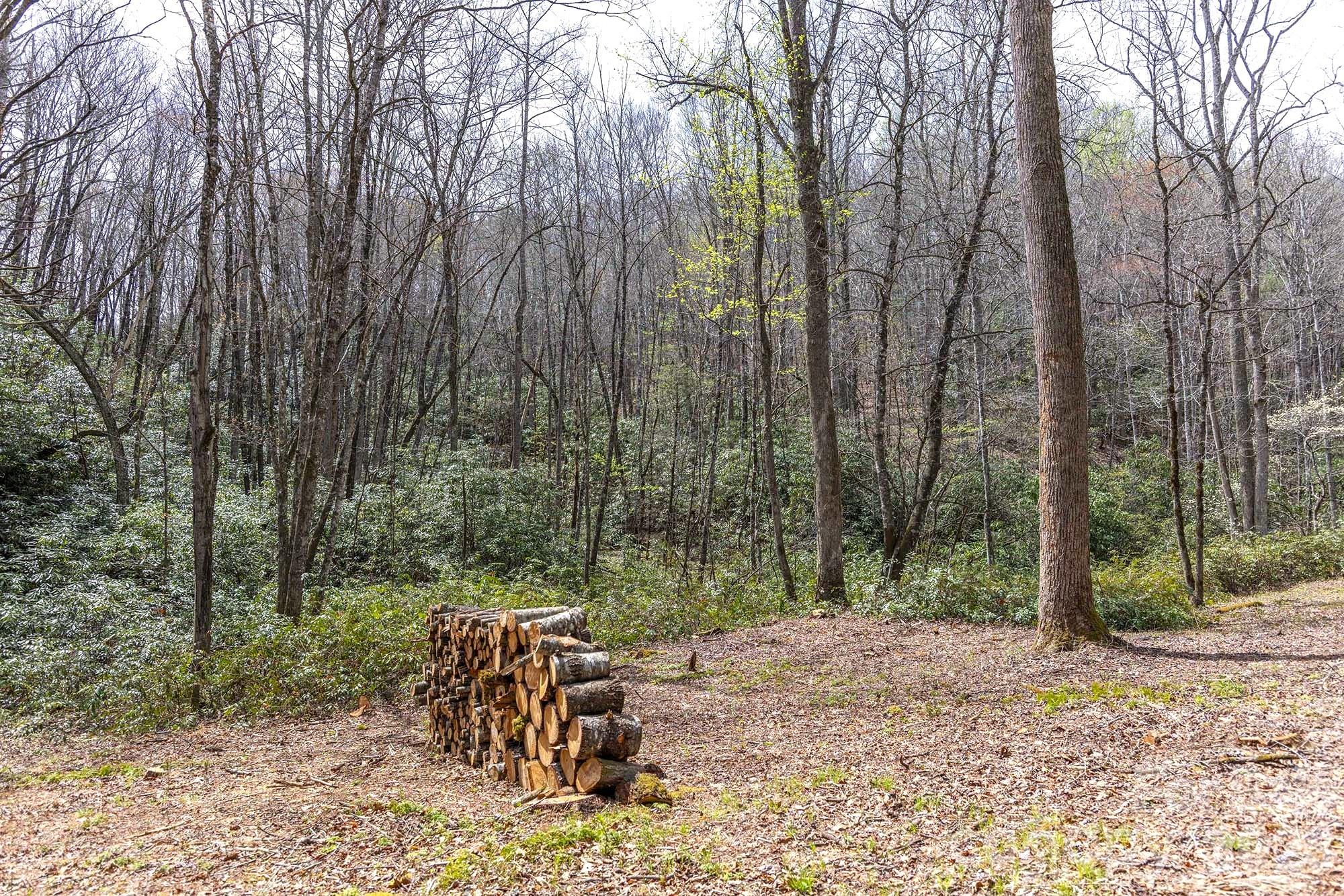 0 Diamond Creek Road Rosman NC 28772