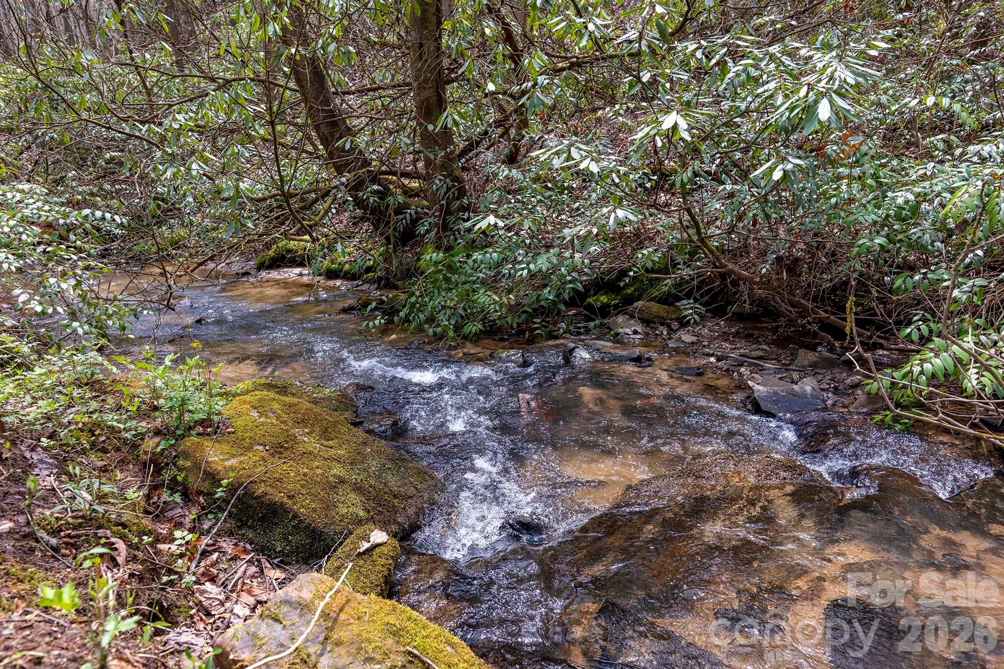 0 Diamond Creek Road Rosman NC 28772