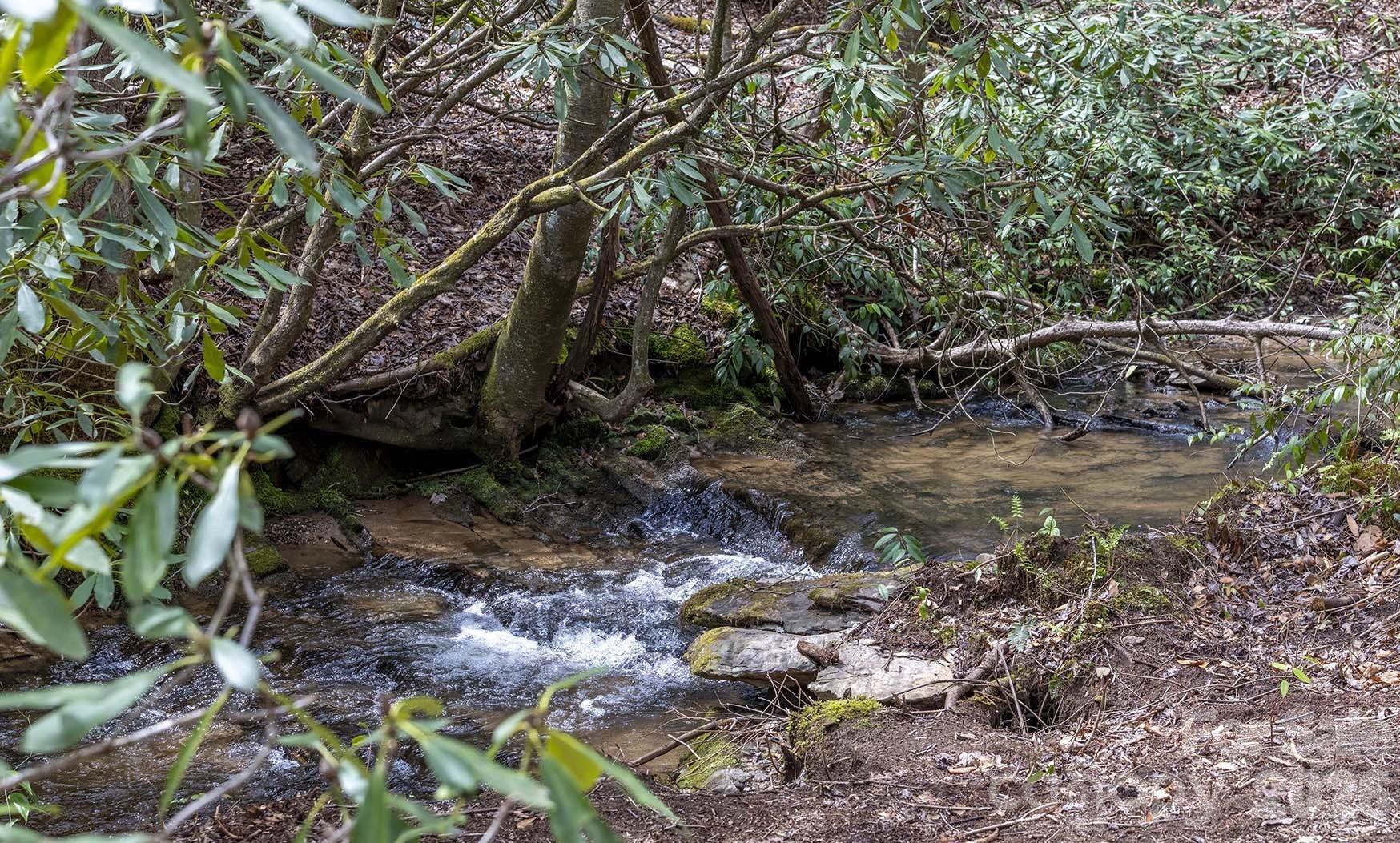 0 Diamond Creek Road Rosman NC 28772