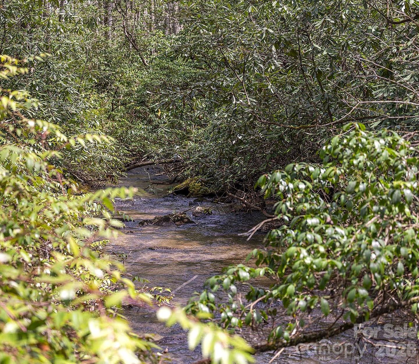 0 Diamond Creek Road Rosman NC 28772