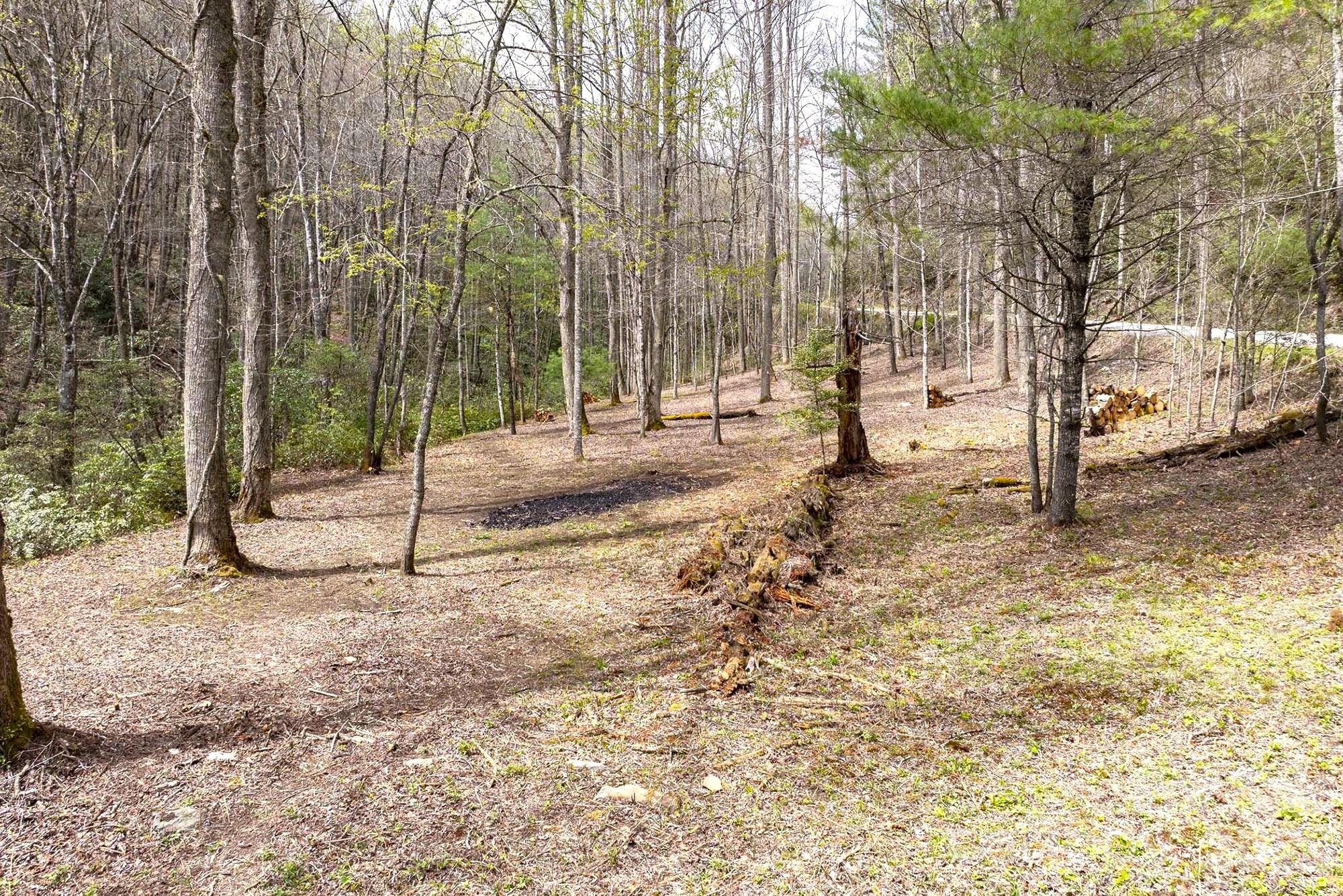 0 Diamond Creek Road Rosman NC 28772