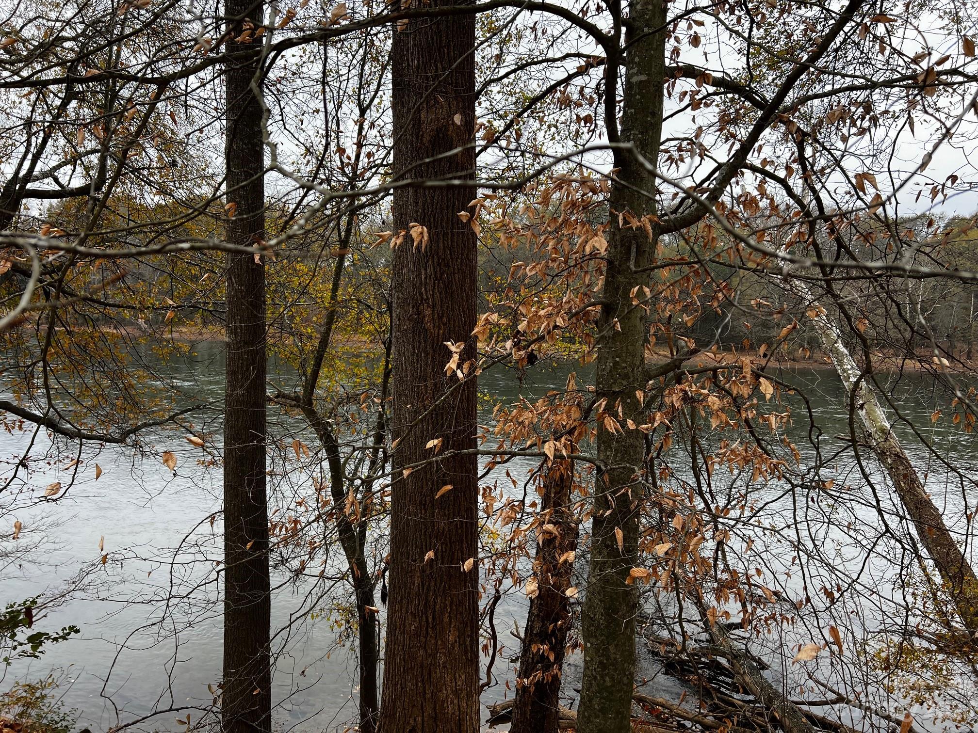 Lot 154 Lookout Dam Road Statesville NC 28625