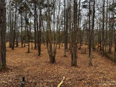 Lot 154 Lookout Dam Road Statesville NC 28625