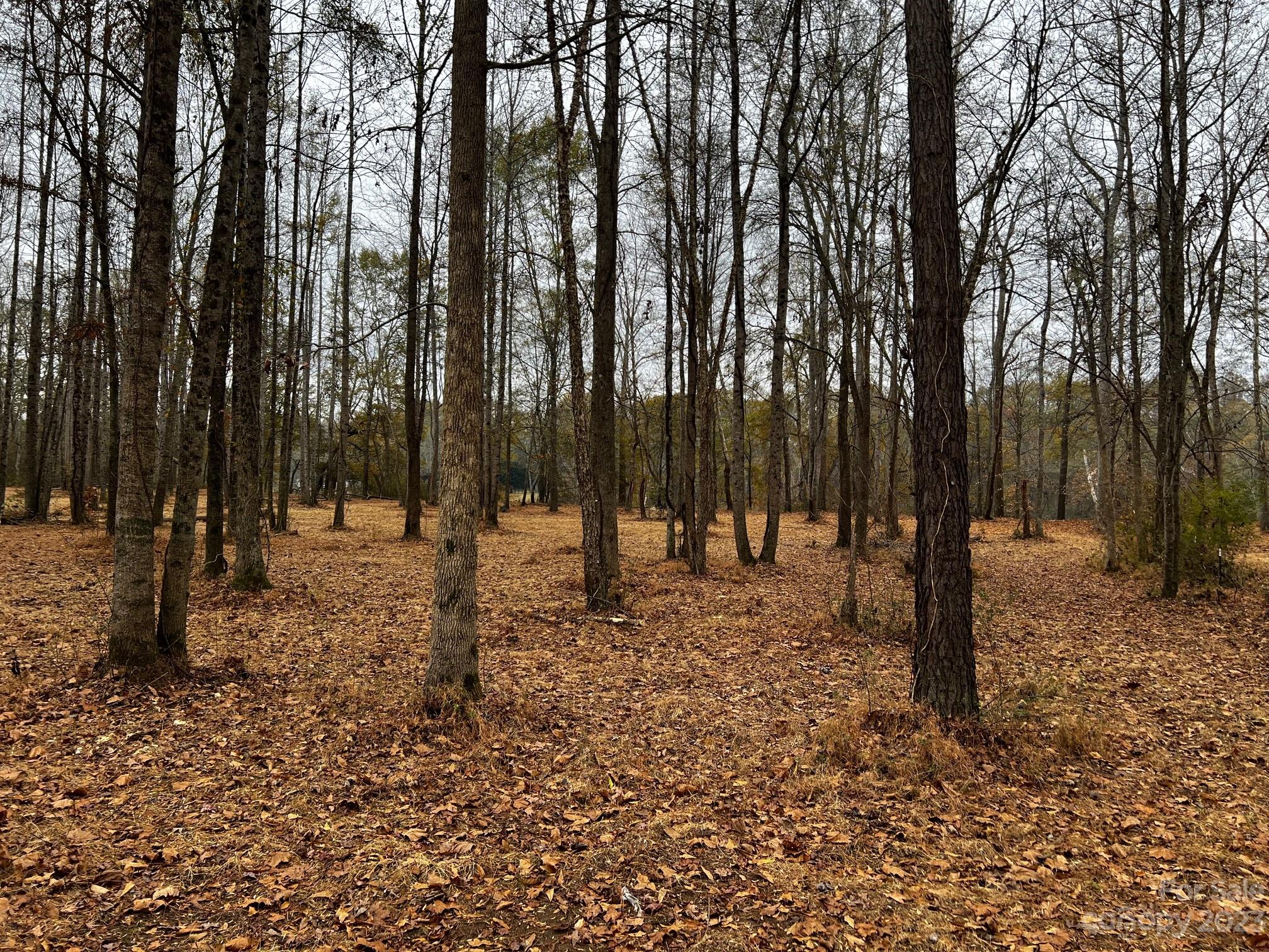 Lot 154 Lookout Dam Road Statesville NC 28625