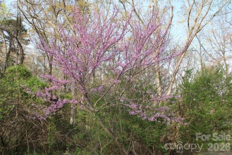 Lot 16 Lake Front Drive Catawba NC 28609