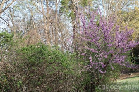 Lot 16 Lake Front Drive Catawba NC 28609