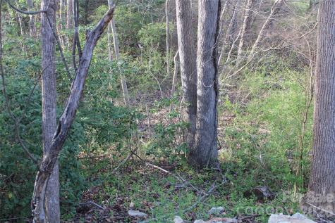 Lot 16 Lake Front Drive Catawba NC 28609